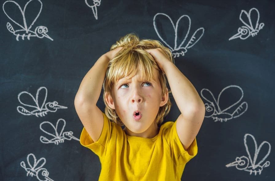 Enfant devant un tableau représentant plein de moustiques